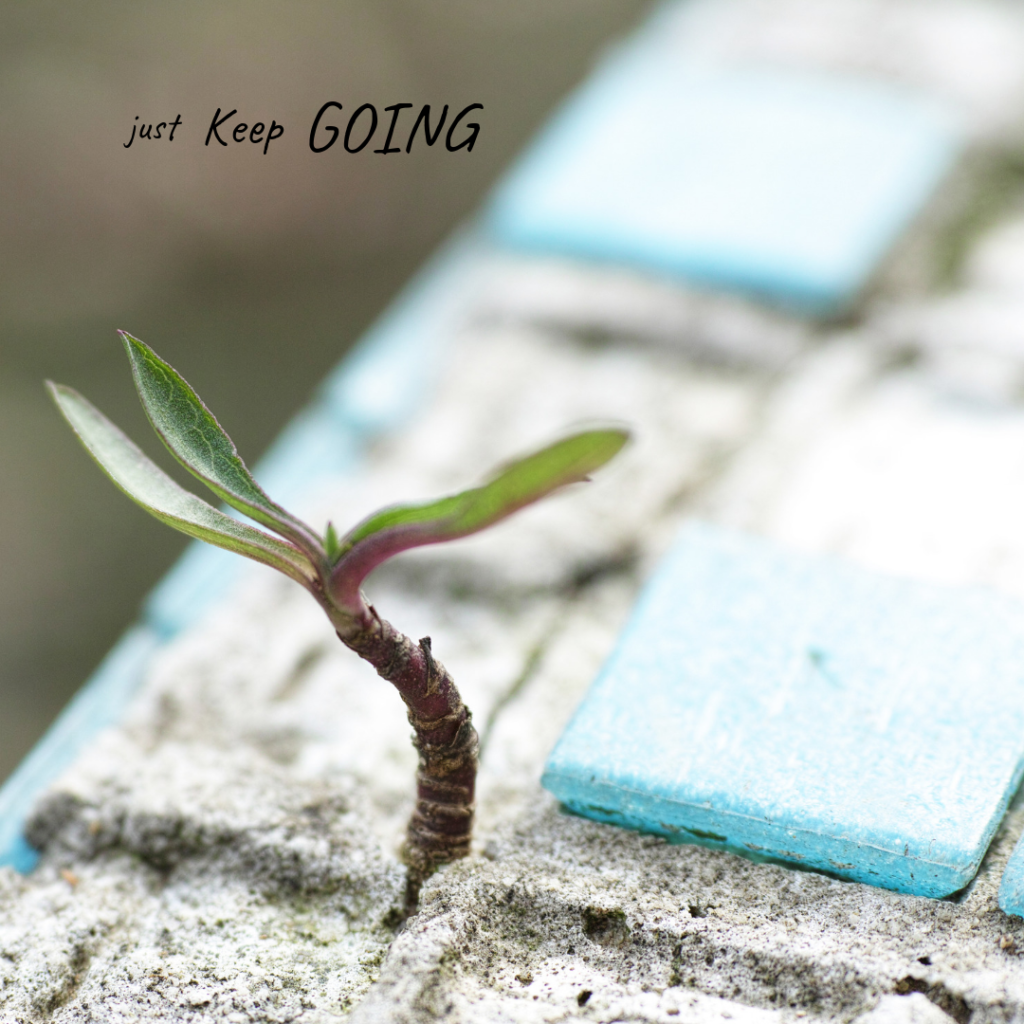 Perseverance. Always keep trying. Move forward. It's never impossible. Be the little spout that grows up in the middle of the pavement.